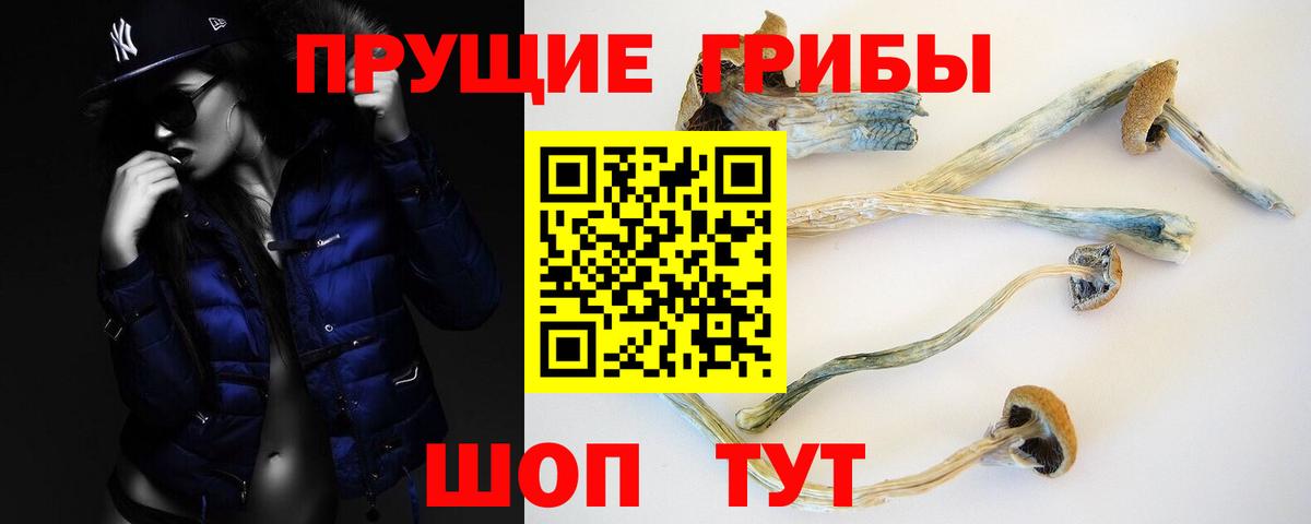 Галлюциногенные грибы мицелий  Вход с VPN  Псилоцибиновые грибы MAGIC MUSHROOMS  купить наркотик  Барабинск 