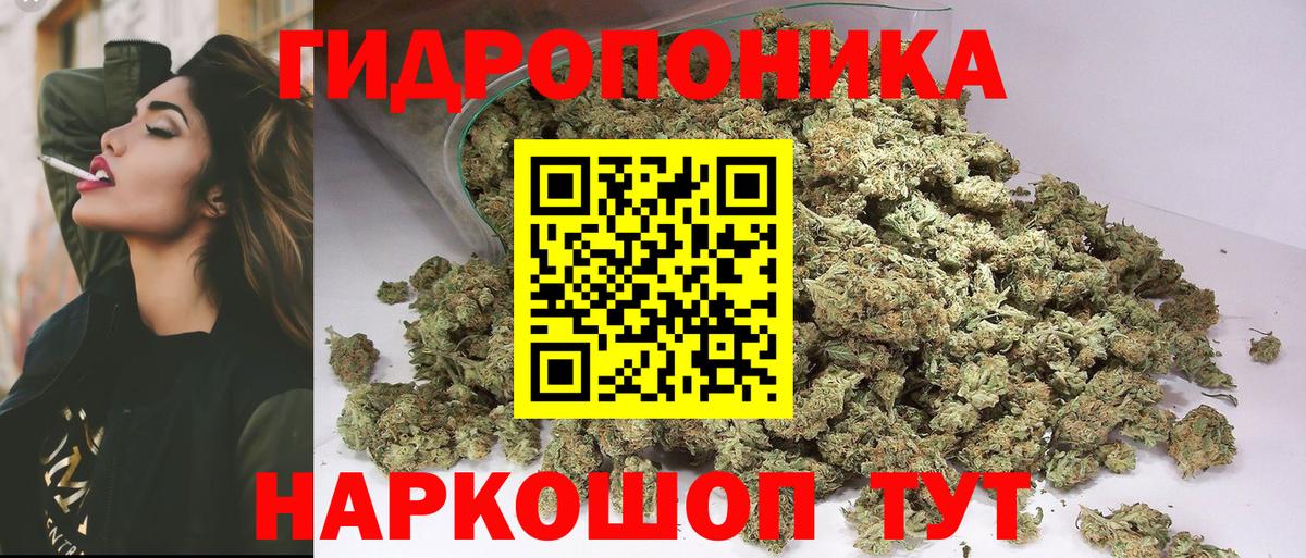 Бошки Шишки план  Конопля семена  Вход с VPN  Барабинск  Каннабис индика 